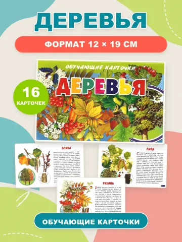 Деревья карточки для детей