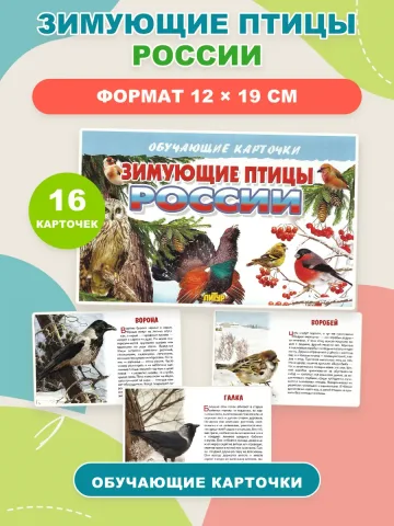 Зимующие птицы России карточки