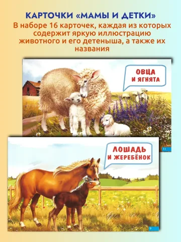 Карточки Мамы и детки