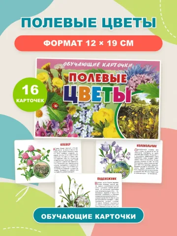 Полевые цветы Наглядные карточки